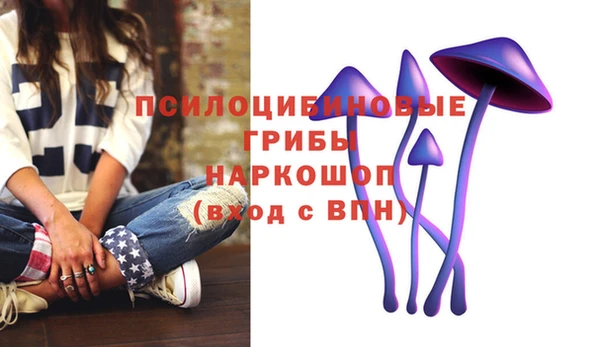 гидра Абдулино