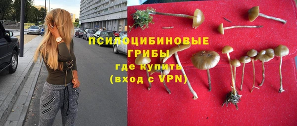 гидра Абдулино