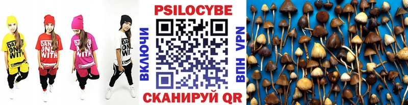 Галлюциногенные грибы GOLDEN TEACHER  Тайга 